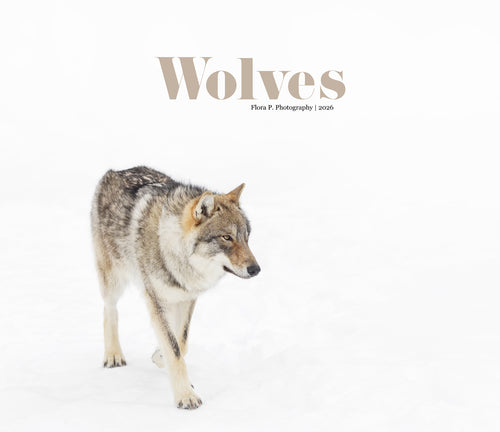 WOLVES 2026