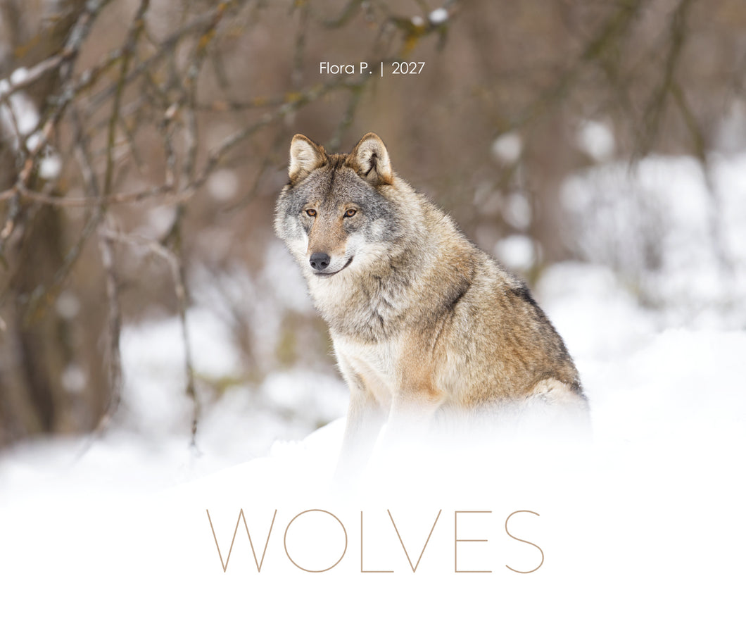 WOLVES 2027