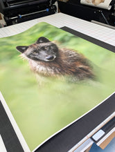 Fine Art Prints