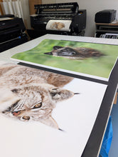 Fine Art Prints