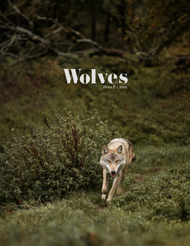 WOLVES 2021
